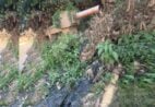Esgoto no Rio Itapemirim: sucessivas multas expõem descaso da BRK com o meio ambiente