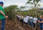 Mulheres do Café: agricultoras de Alegre participam de curso de poda do conilon