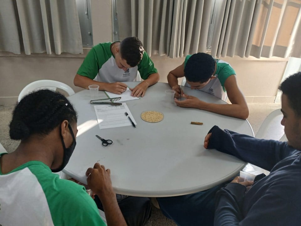 projeto pedagógico
