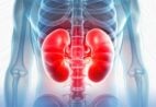 5 hábitos que parecem inofensivos, mas podem destruir seus rins