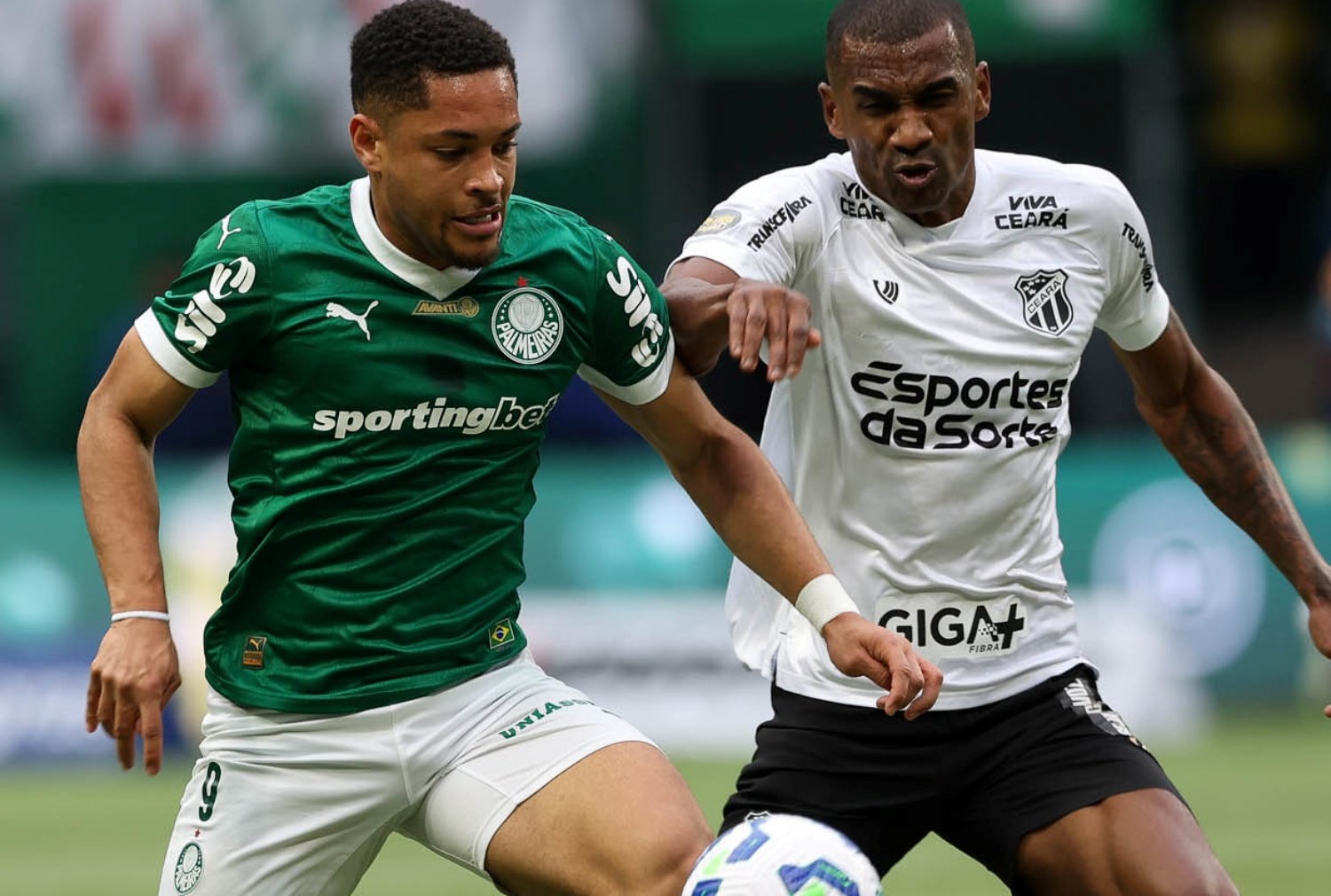 universitario x palmeiras Foto Cesar GrecoPalmeirasby Canon