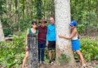 Fazenda transforma mogno africano em símbolo de sustentabilidade no ES