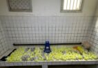 Sete pessoas são presas com quase 8 mil pinos de cocaína em cidade do ES