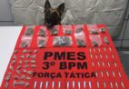 PM apreende drogas em Guaçuí com apoio da cadela Alga