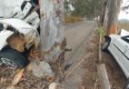 VÍDEO | Motorista fica ferido após colidir contra árvore em Itapemirim