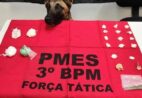 Cadela ALGA ajuda PM a apreender drogas em operação em Guaçuí