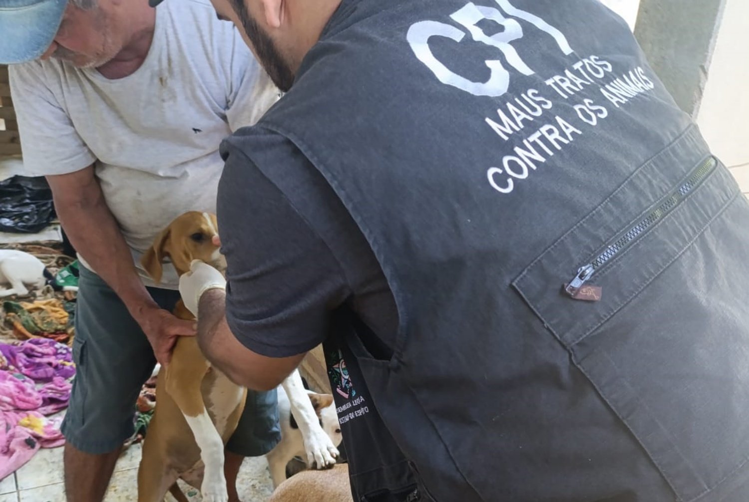 cpi maus tratos de animais