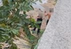 VÍDEO | GCM atira contra suspeito durante ação em Cachoeiro