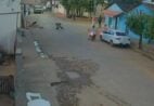 Cenas fortes: vídeo mostra homem agredindo e matando cachorro em via pública no ES
