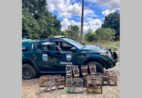 Polícia resgata aves silvestres e apreende gaiolas em Itapemirim