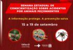 ES: semana reforça prevenção contra animais peçonhentos; saiba tudo