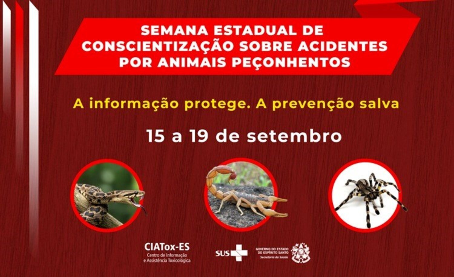 A foto mostra cartaz da SESA-ES sobre semana contra animais peçonhentos