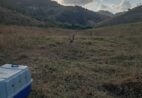 Parque da Cachoeira da Fumaça realiza soltura de seriema em Alegre