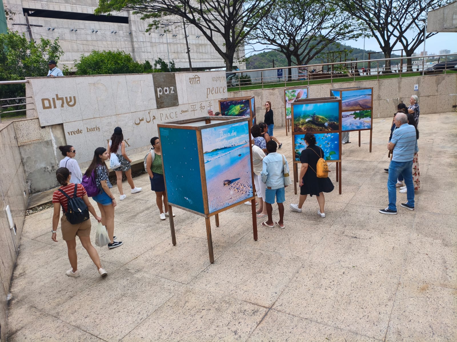 Exposição Baía das Tartarugas