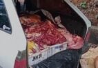 Suspeitos são presos por vender carne de cavalo em cidade do ES