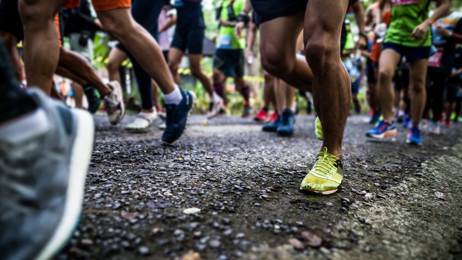 corrida da cidadania ales