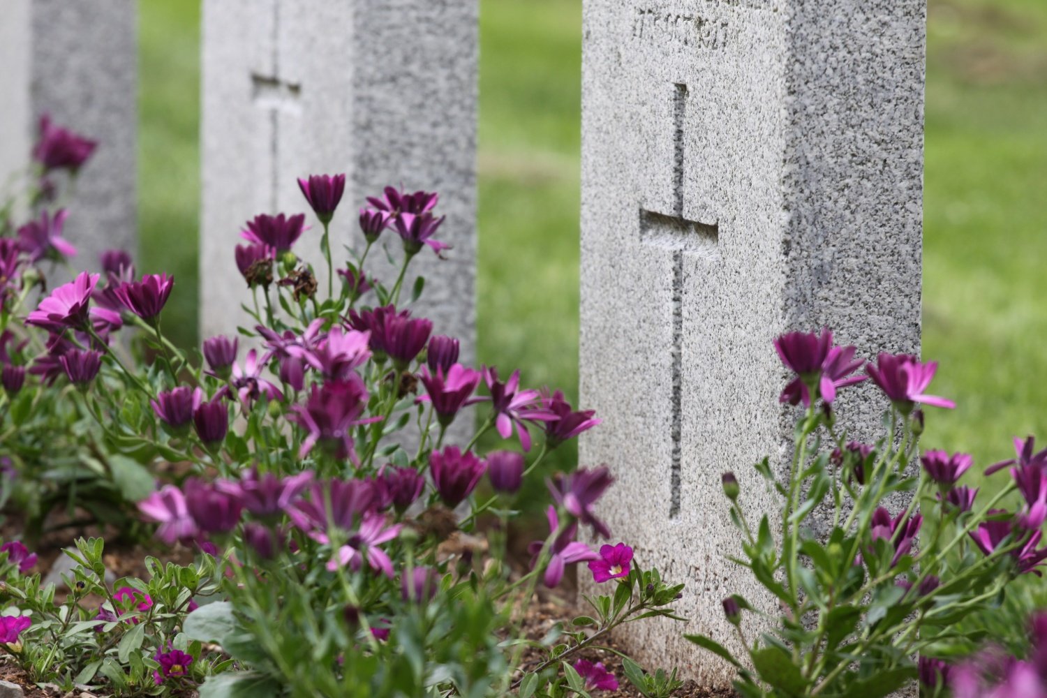 dia de finados cachoeiro procon