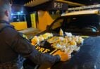 Mulher é presa transportando drogas e granada dentro de mochila na BR-101