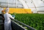 Feira da Agroindústria Capixaba abre inscrições para Rodada de Negócios
