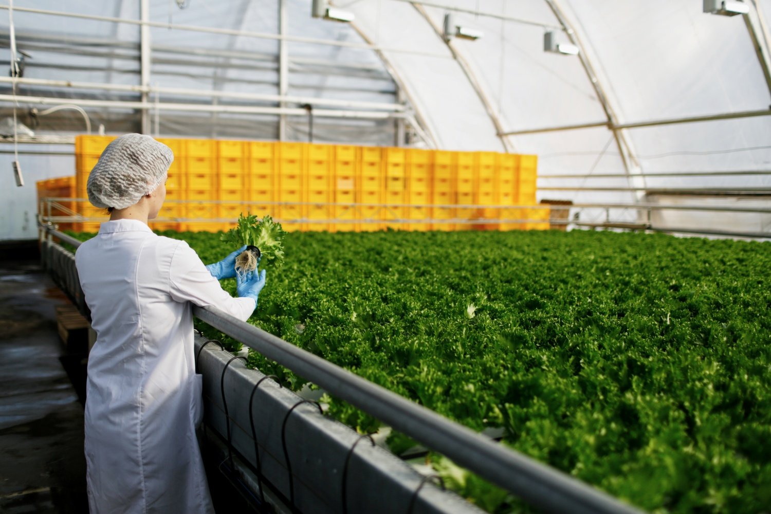 feira capixaba agroindústria rodada de negócios