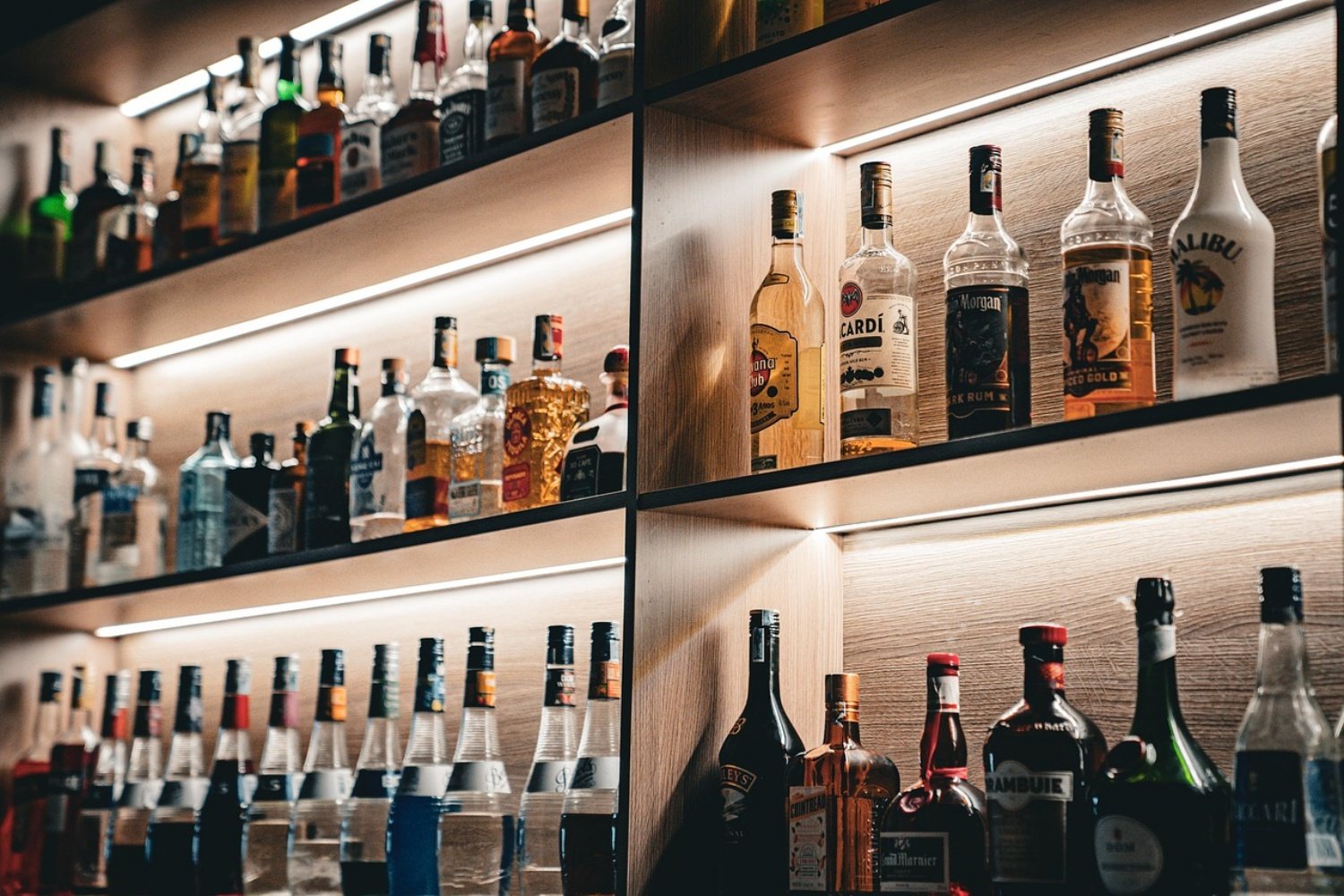 stf sistema produção de bebidas