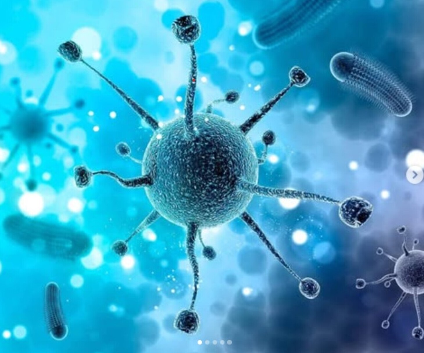 A foto alude à superbactéria