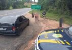 Adolescente de 14 anos é flagrado dirigindo carro com sete pessoas em Mimoso do Sul