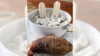 Frescor das montanhas: sorvete de inhame vira atração em Alfredo Chaves