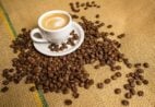 Manutenção da tarifa de 40% preocupa setor de cafés especiais