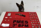 Cadela Alga auxilia PM em apreensões de drogas e arma no Caparaó