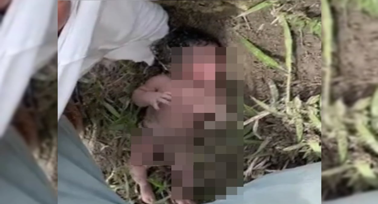 a imagem mostra uma bebê de apenas dias encontrada abandonada em uma área de mata em São Mateus no Espírito Santo