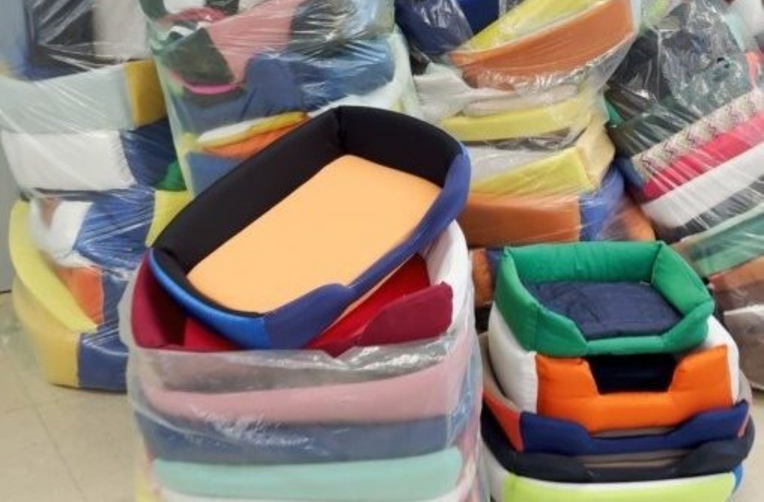 camas pets sistema prisional