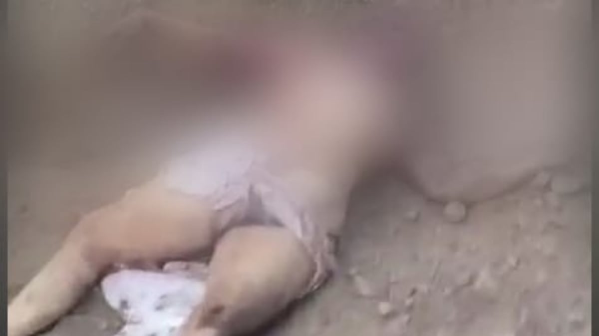 corpo encontrado no ibc