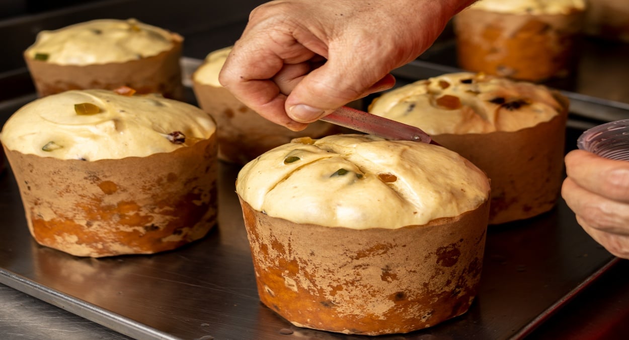 curso gratuito de panetones