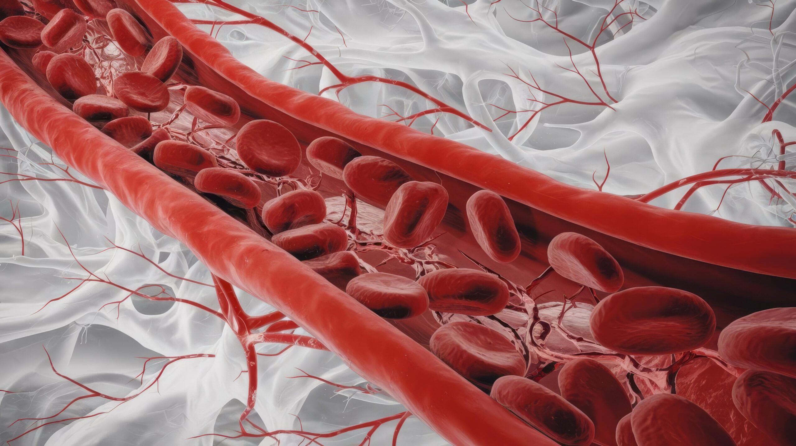 A foto mostra corrente sanguínea