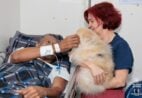 Amor em quatro patas: cães voluntários espalham leveza e esperança em hospital