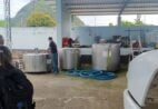 Polícia Civil apreende 400 litros de leite em laticínio clandestino em Ecoporanga