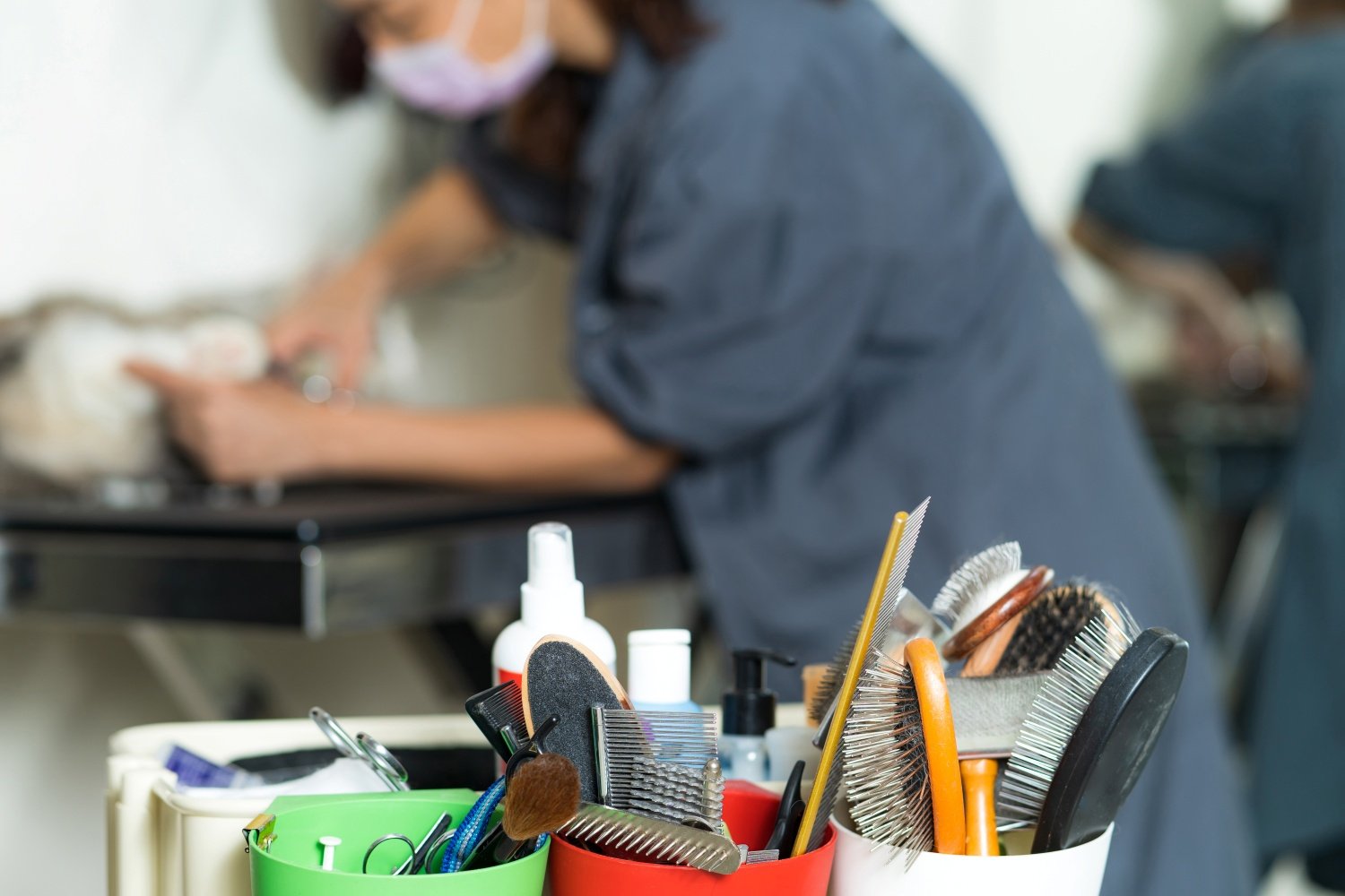 sine cachoeiro oportunidades vagas de emprego