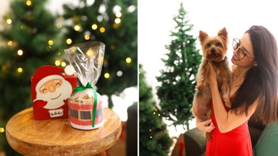 Panetone para pets? Confeitaria de Cachoeiro lança “Ceia de Natal” exclusiva para cães e gatos