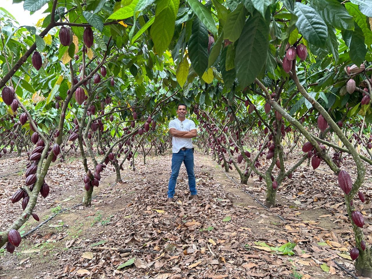 Jan Vitorio vai falar sobre inovação no cultivo de cacau