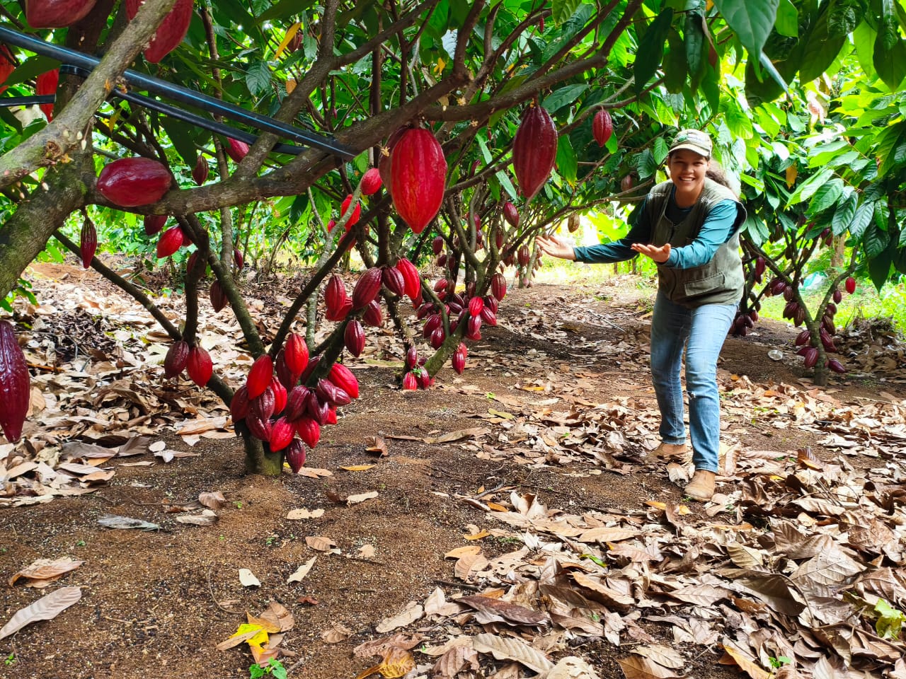 Senária será uma dos palestrantes Prointec