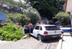 Cachoeiro: carro sai da pista e “despenca” em rua abaixo da Linha Vermelha