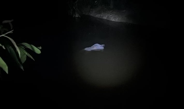 Imagem retrata açude onde homem foi encontrado morto.