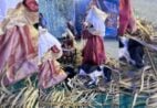 Cachorro vira atração ao deitar no presépio durante o Natal de Luz em Guaçuí