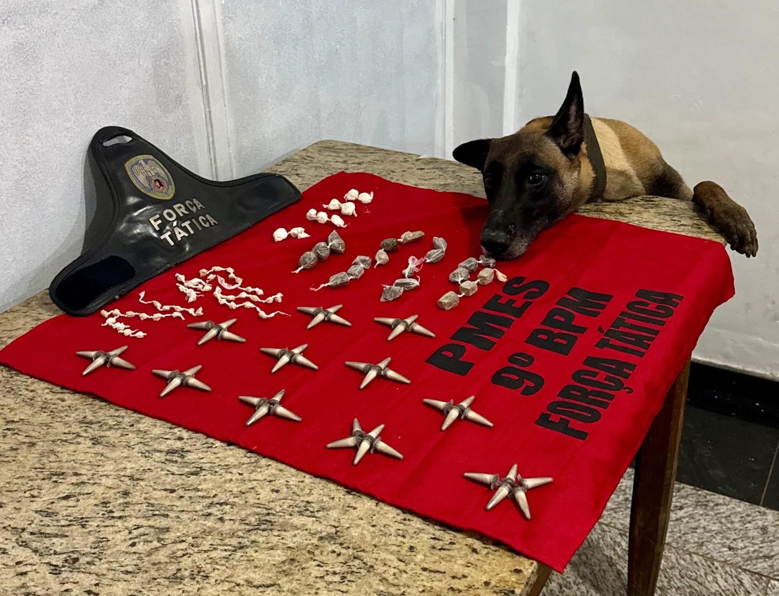 Cadela policial da Força Tática, deitada com a cabeça apoiada sobre uma mesa, ao lado de uma grande quantidade de drogas apreendidas. As substâncias incluem papelotes de cocaína, buchas de maconha, pedras de crack e pinos de cocaína, organizados sobre um pano vermelho com a identificação “PMES 9º BPM Força Tática”.