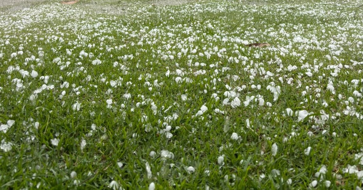 Imagem mostra gramado com pedras de granizo