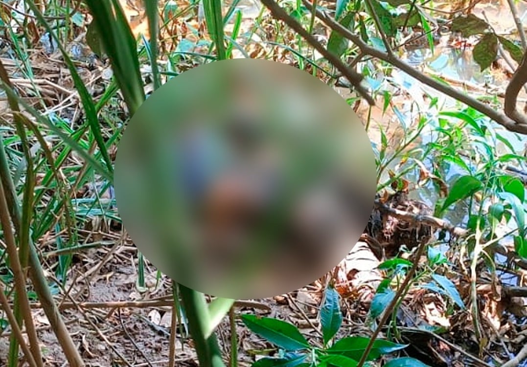 Imagem retrata corpo de mulher encontrado às margens de rio, porém embaçado.
