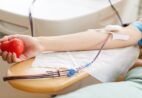 Estoques de sangue chegam a nível crítico no Hemoes; veja como doar