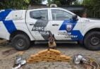 PM apreende 26 kg de drogas na Serra com apoio de cão farejador