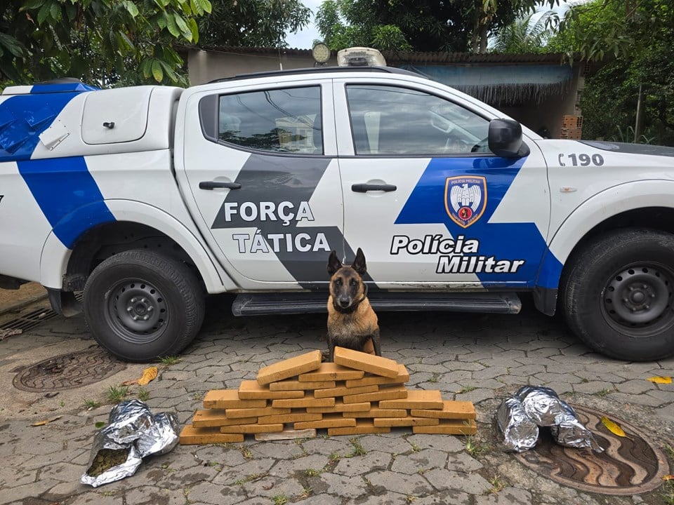 Cão policial posa em frente a uma viatura da Força Tática da Polícia Militar ao lado de dezenas de tabletes de droga apreendidos durante operação na Serra.
